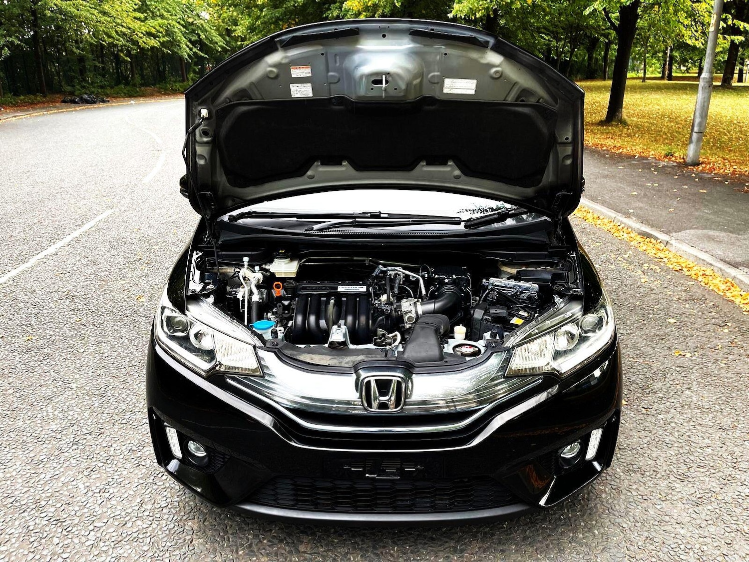 Used Honda Fit for sale - 76593409: Photo 50