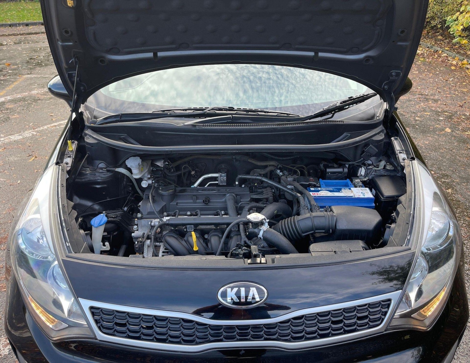 Used Kia Rio 2015 for sale - 76623177: Photo 33