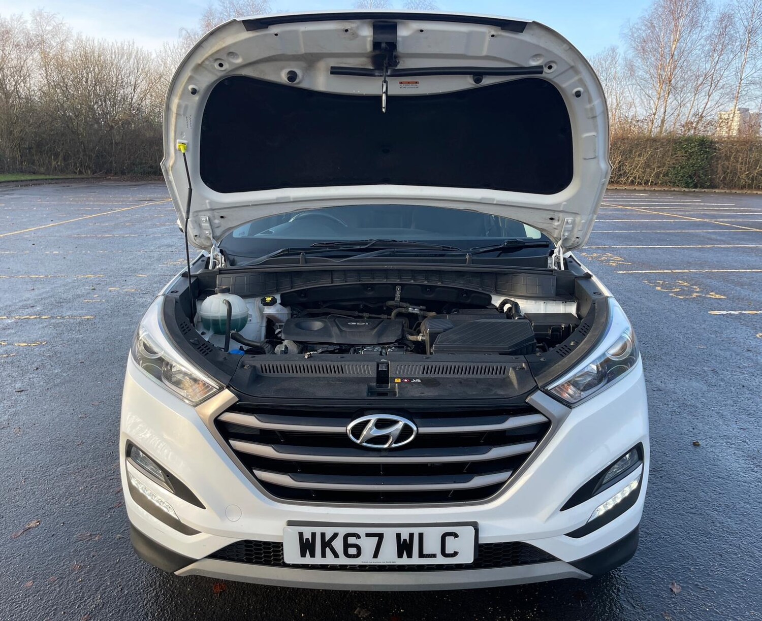 Used Hyundai TUCSON 2017 for sale - 76933344: Photo 41