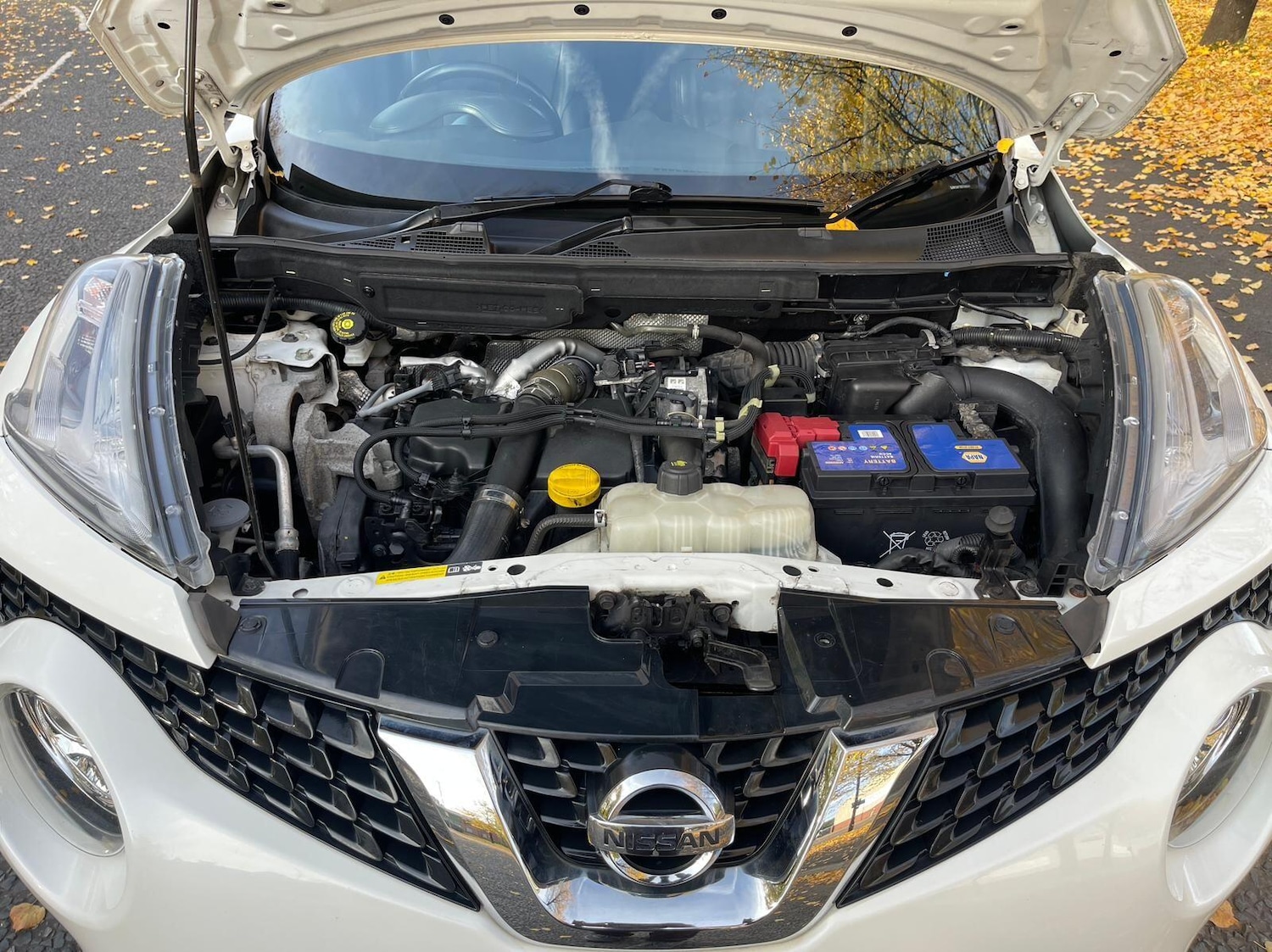 Used Nissan Juke 2016 for sale - 76623156: Photo 31