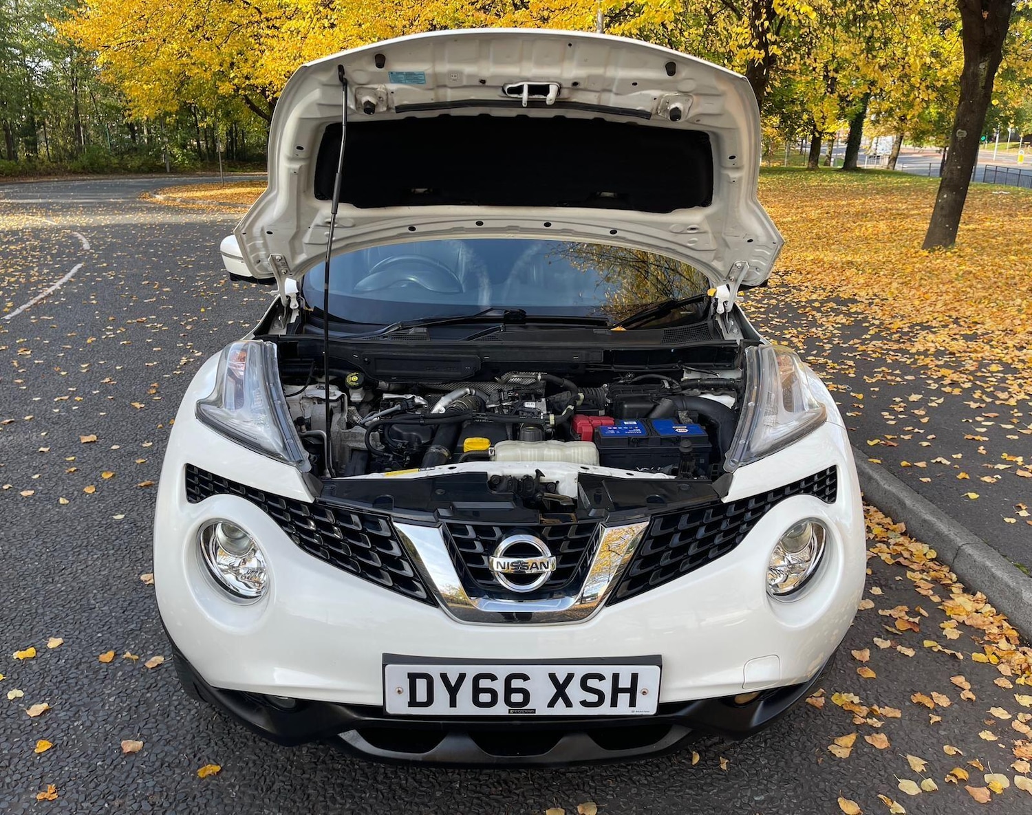 Used Nissan Juke 2016 for sale - 76623156: Photo 48