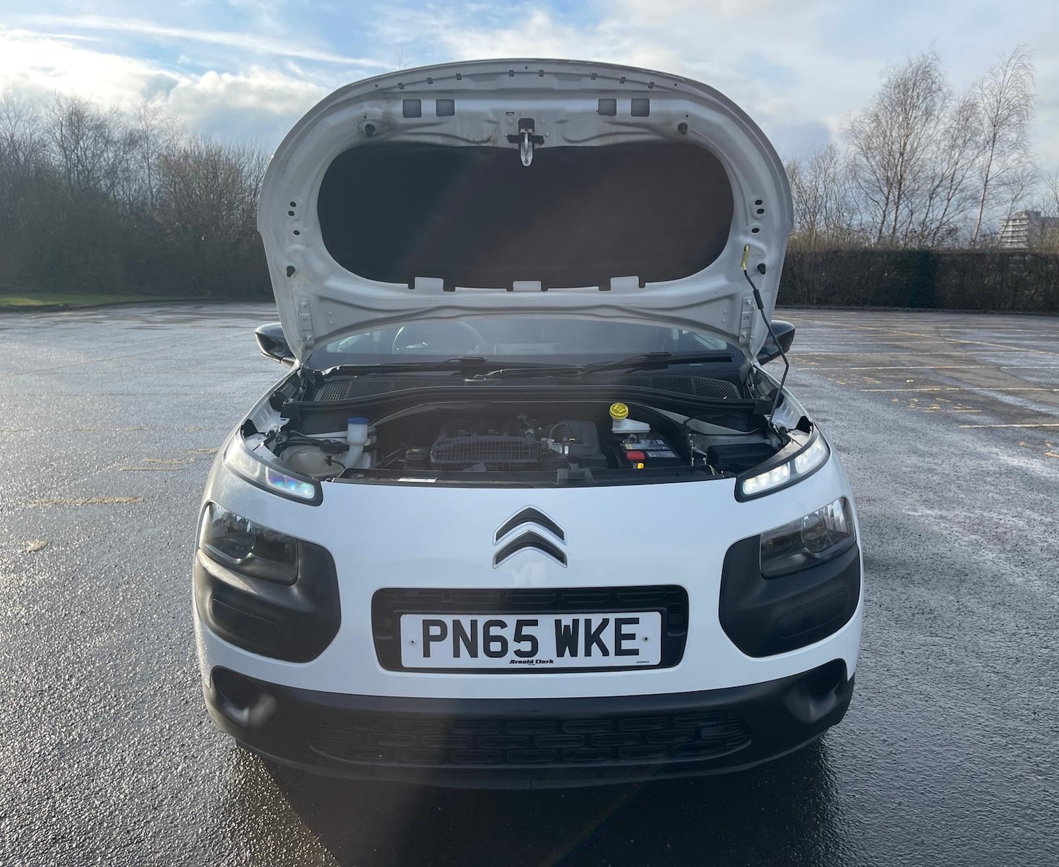 Used Citroen C4 Cactus 2015 for sale - 77476669: Photo 39