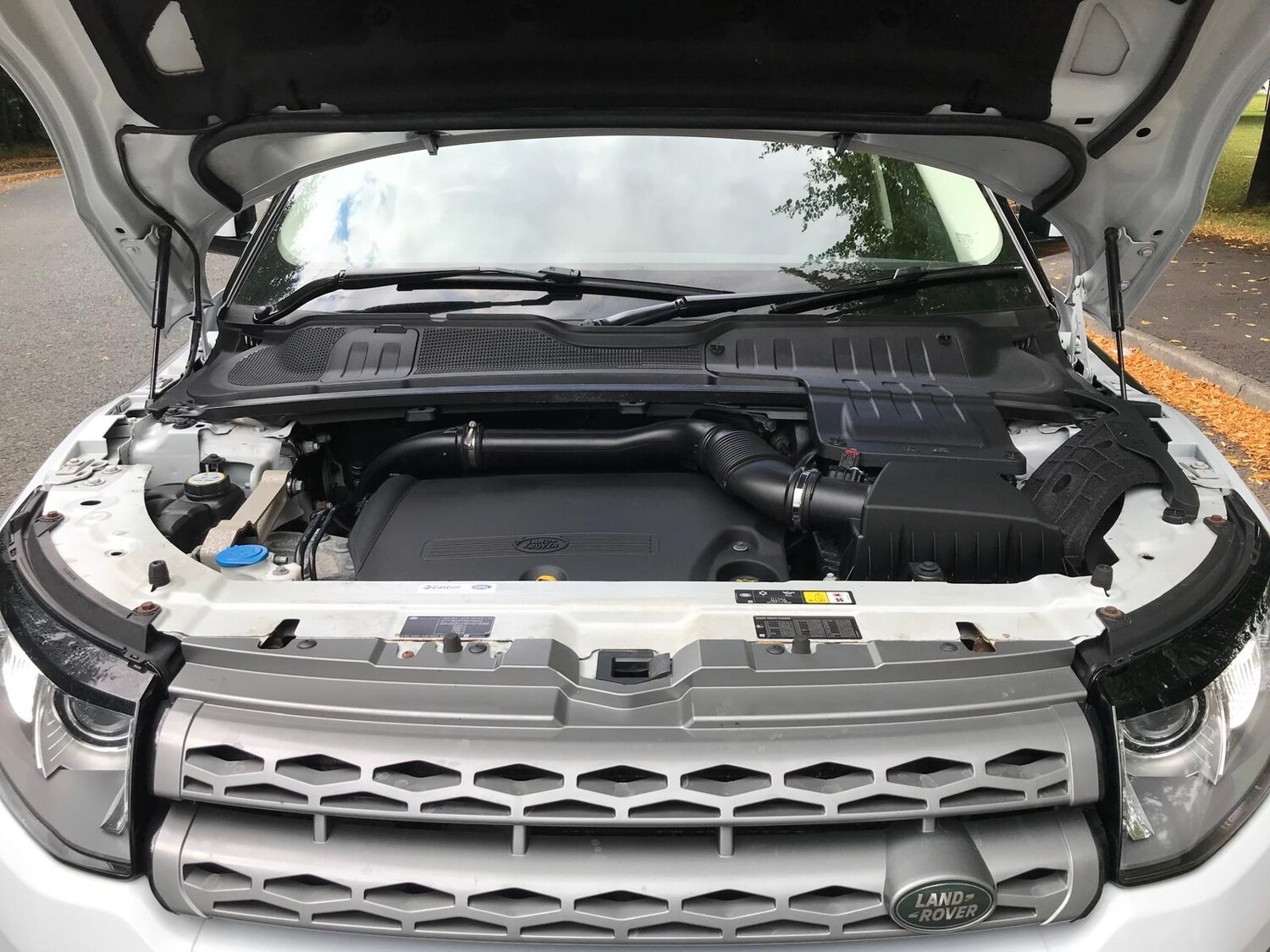 Vehicle 53