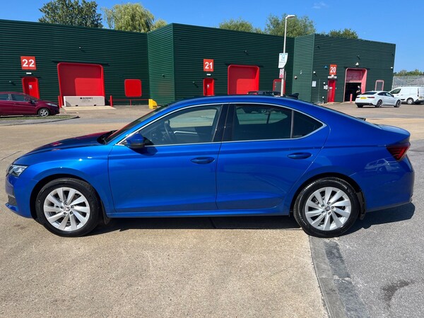 Used Skoda Octavia 2024 for sale - 74875786: Photo 12