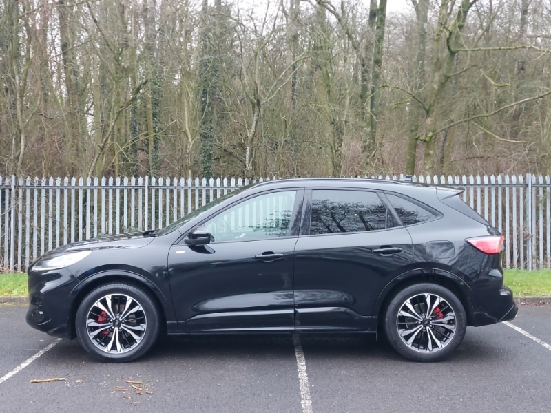 Used Ford Kuga 2024 for sale - 77682345: Photo 4