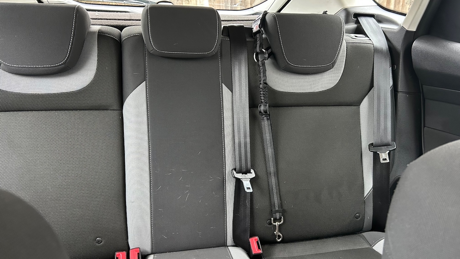 Used Ford Focus 2012 for sale - 77333271: Photo 11