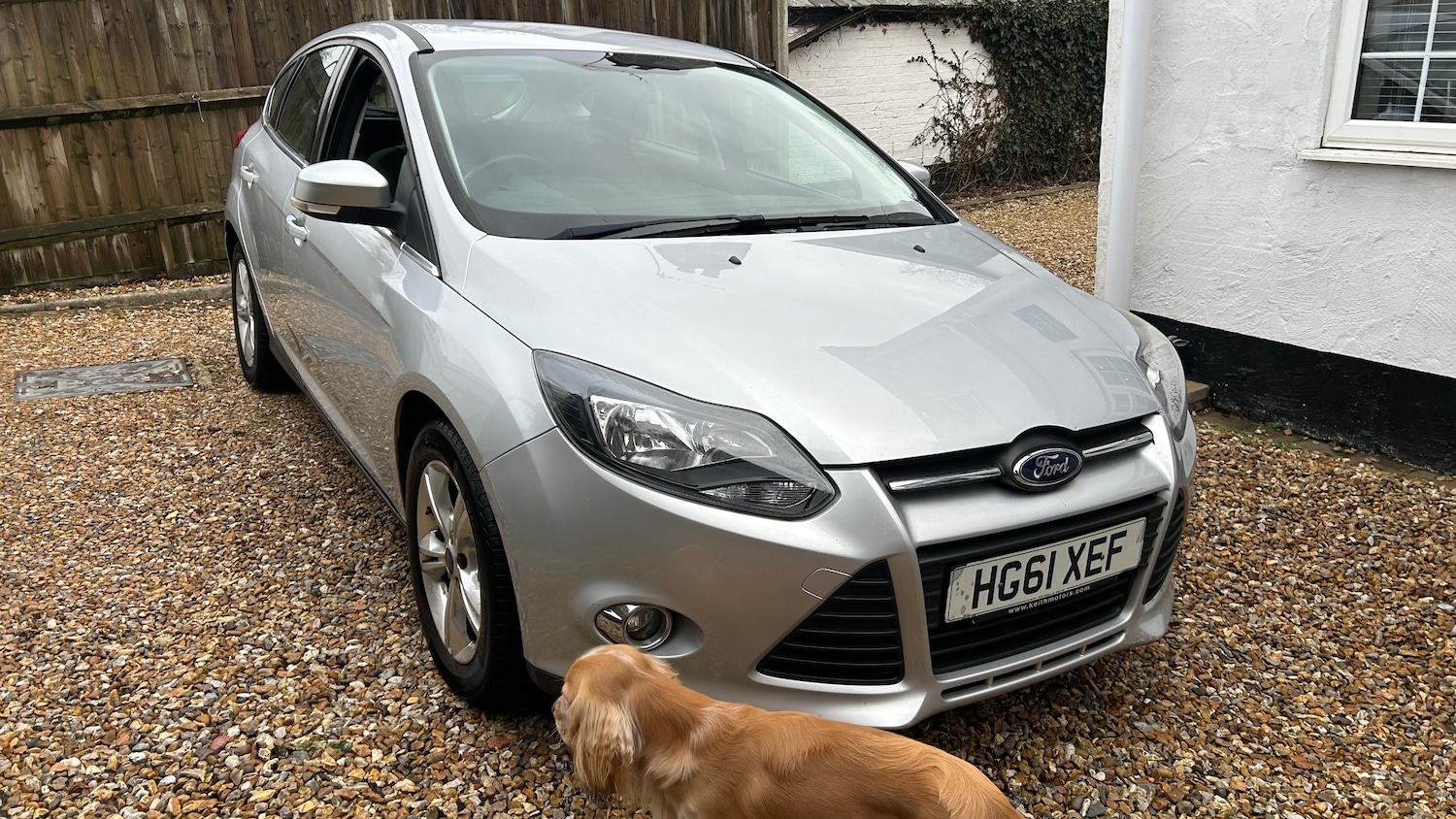 Used Ford Focus 2012 for sale - 77333271: Photo 4