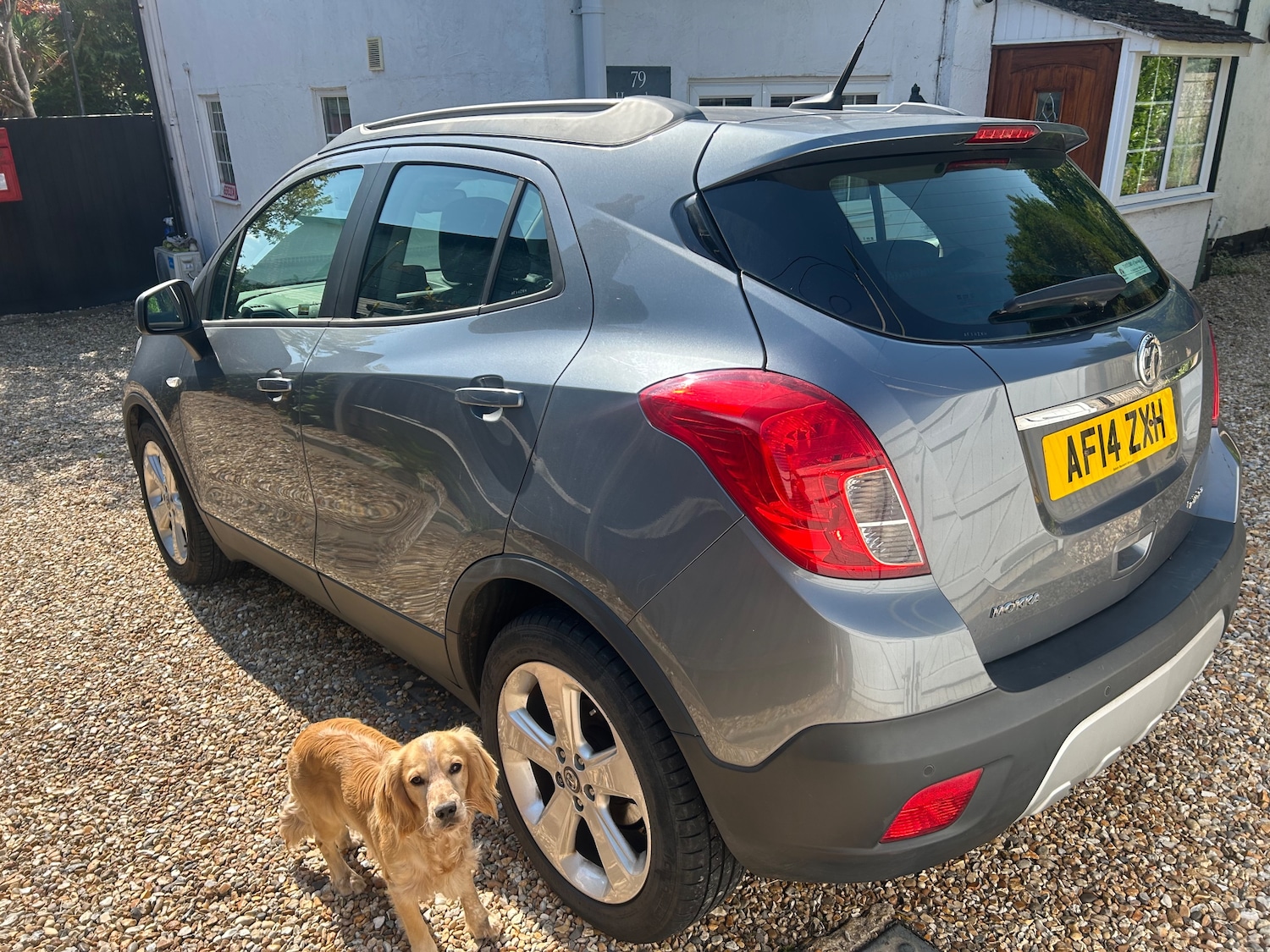 Vehicle 5