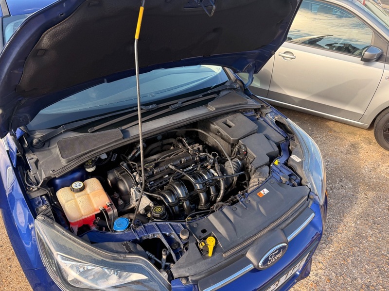 Used Ford Focus 2014 for sale - 76081457: Photo 11