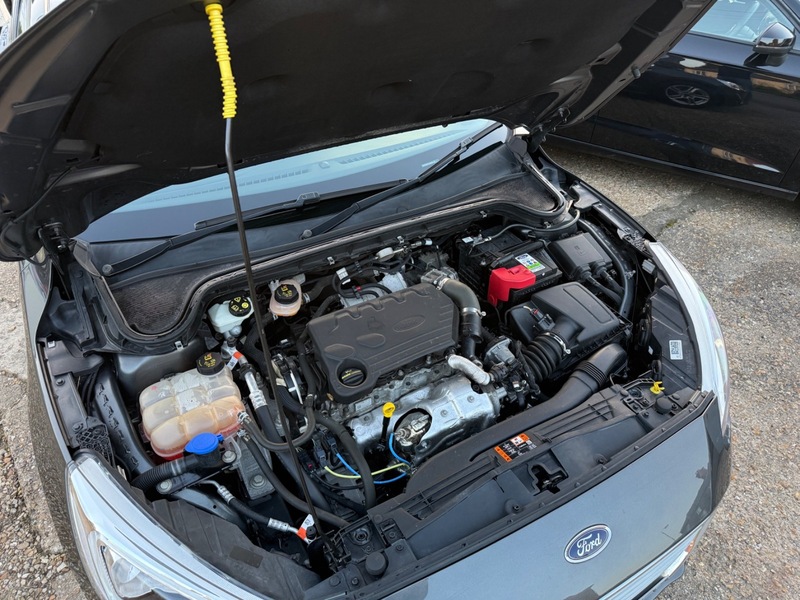 Used Ford Focus 2018 for sale - 77990317: Photo 12