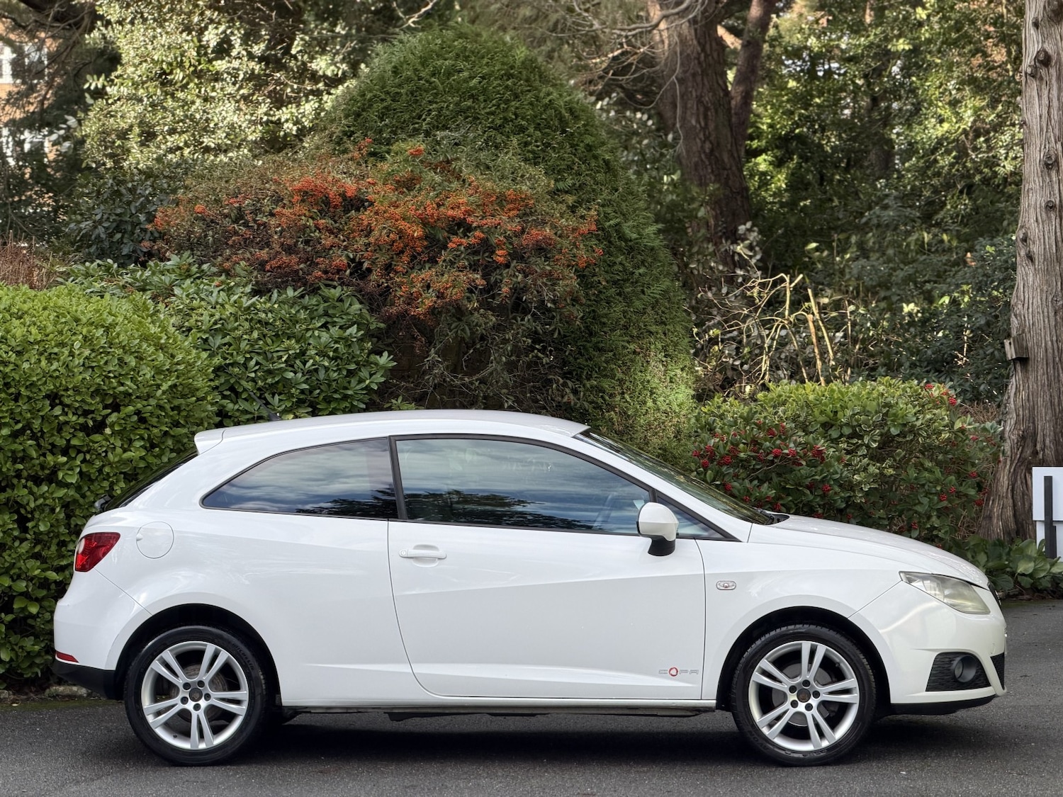 Used SEAT Ibiza 2012 for sale - 77459896: Photo 2