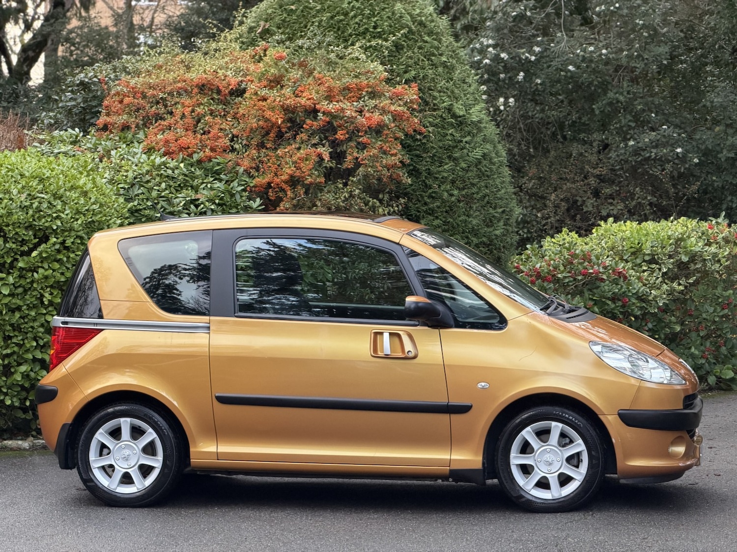 Used Peugeot 1007 2007 for sale - 77019082: Photo 2