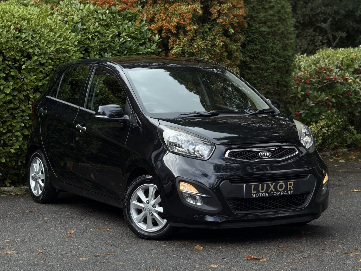 Used Kia Picanto 2011 for sale - 76380332: Photo 1