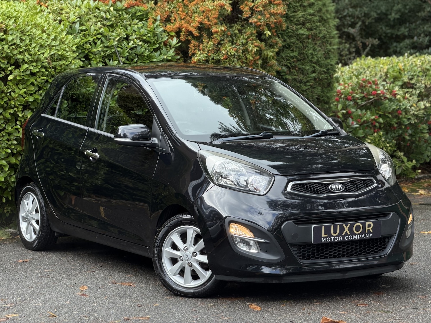 Used Kia Picanto 2011 for sale - 76380332: Photo 4