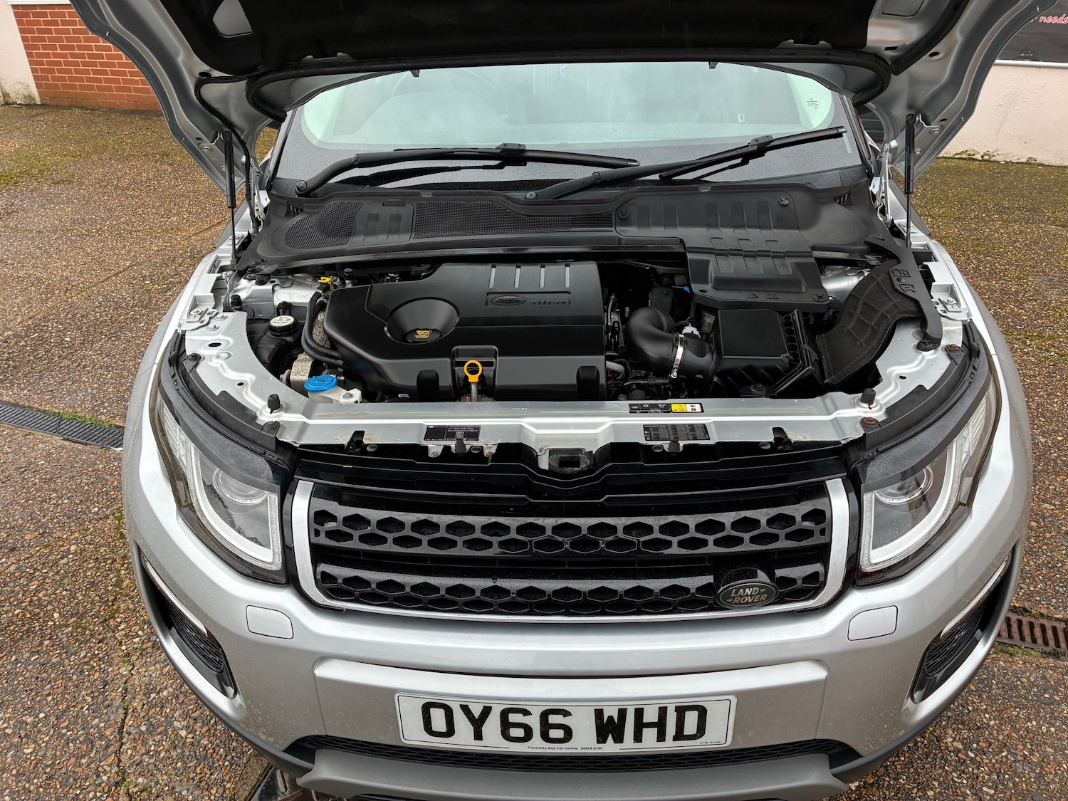 Used Land Rover Range Rover Evoque 2016 for sale - 77813447: Photo 11