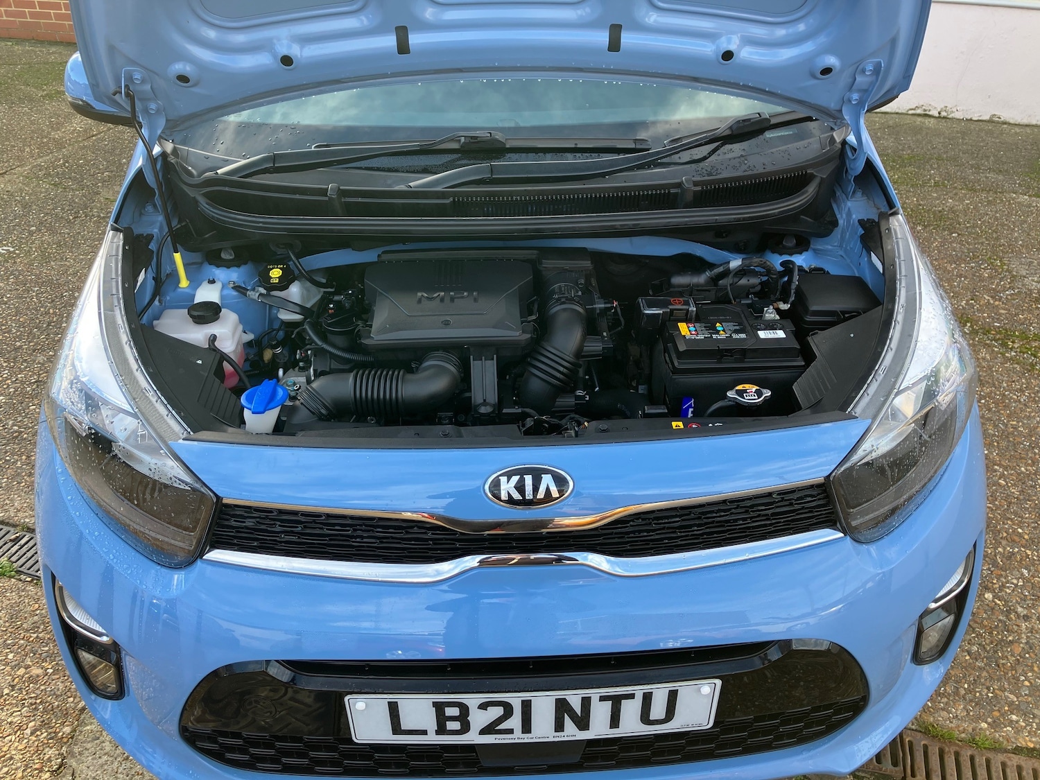 Used Kia Picanto 2021 for sale - 76783313: Photo 12