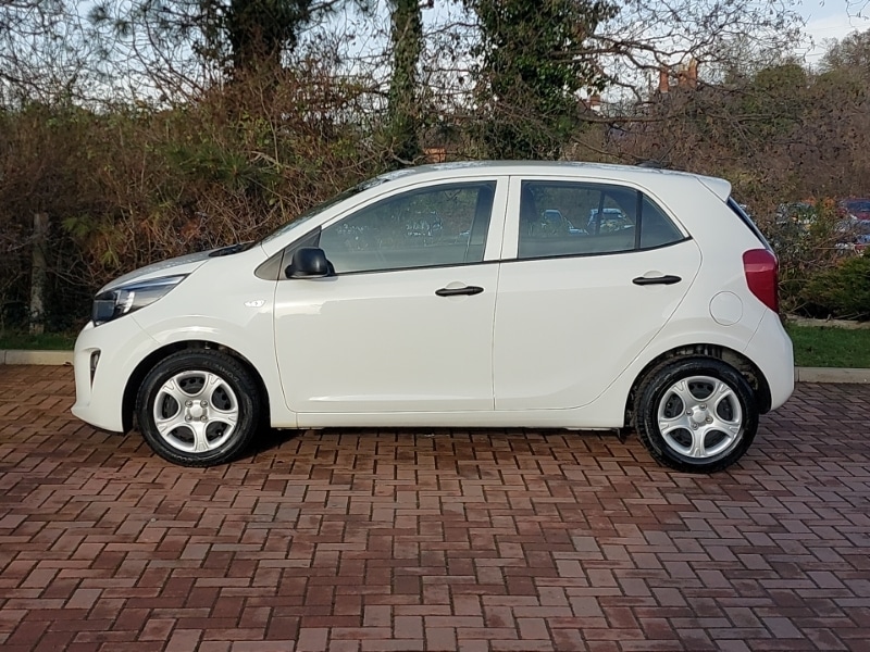 Used Kia Picanto 2023 for sale - 77366557: Photo 4