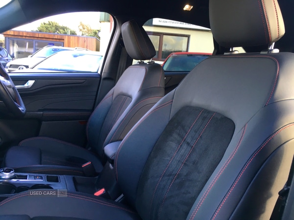 Used Ford Kuga 2024 for sale - 77050379: Photo 11