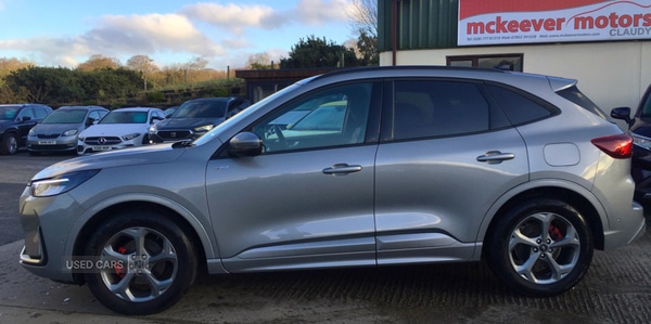 Used Ford Kuga 2024 for sale - 77050379: Photo 3