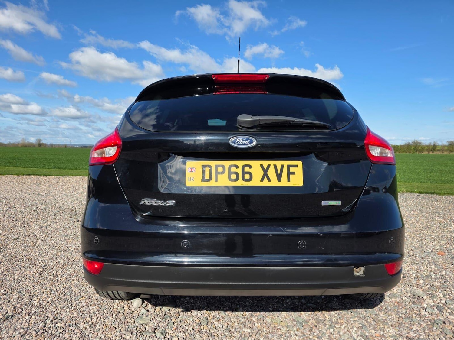 Used Ford Focus 2016 for sale - 78034652: Photo 13