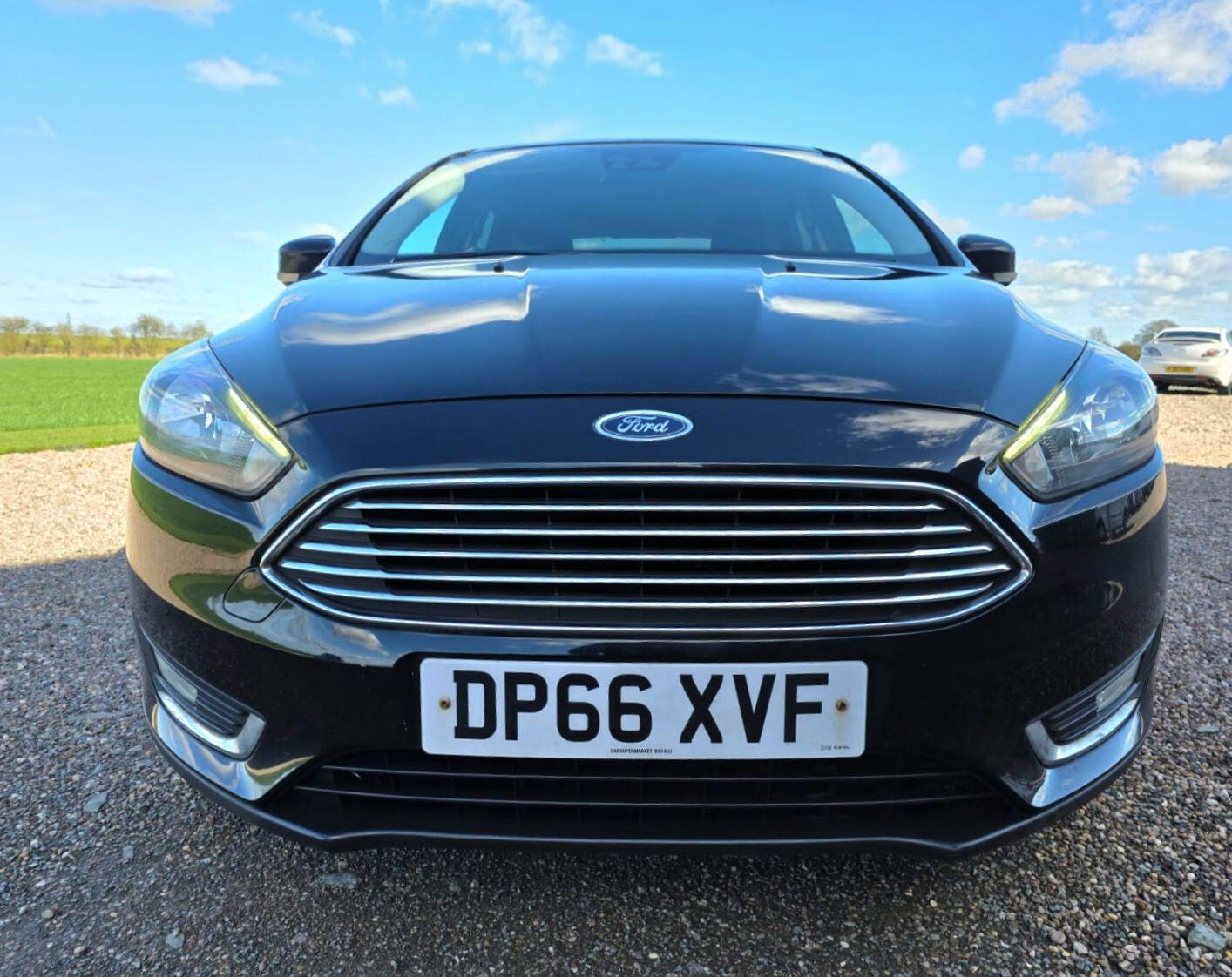 Used Ford Focus 2016 for sale - 78034652: Photo 25