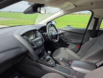 Used Ford Focus 2014 for sale - 77925758: Photo