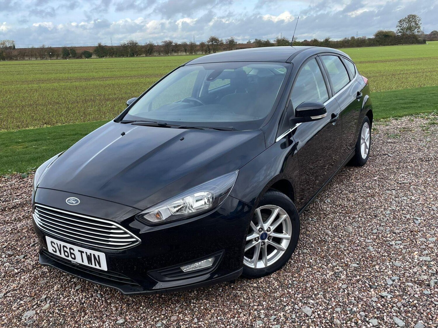 Used Ford Focus 2016 for sale - 77519565: Photo 11