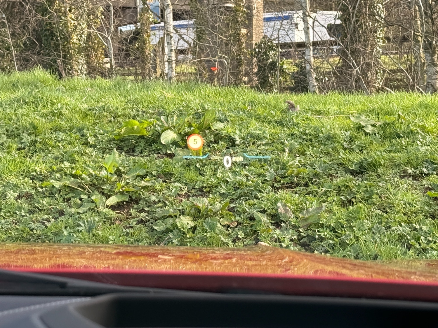 Used BMW 1 Series 2019 for sale - 77916195: Photo 12