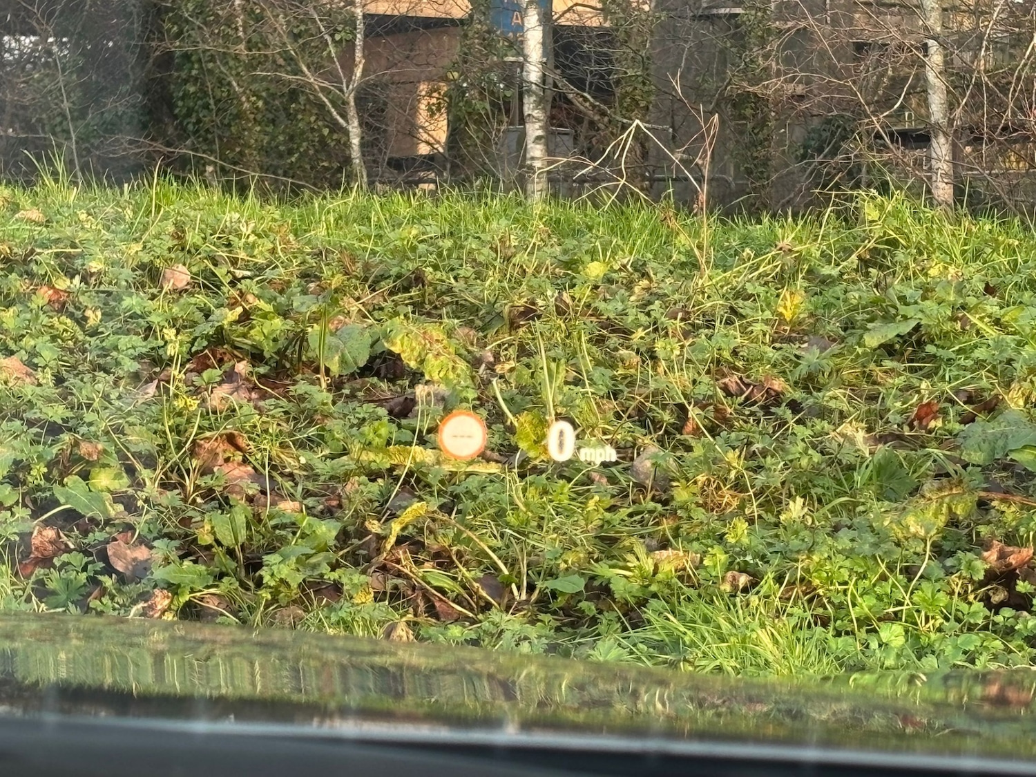 Used BMW 6 Series 2015 for sale - 77025321: Photo 11