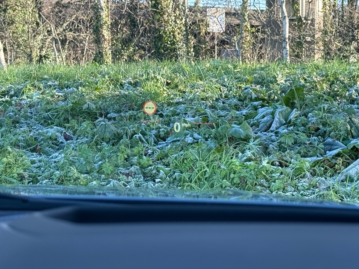 Used BMW 1 Series 2020 for sale - 76638366: Photo 10