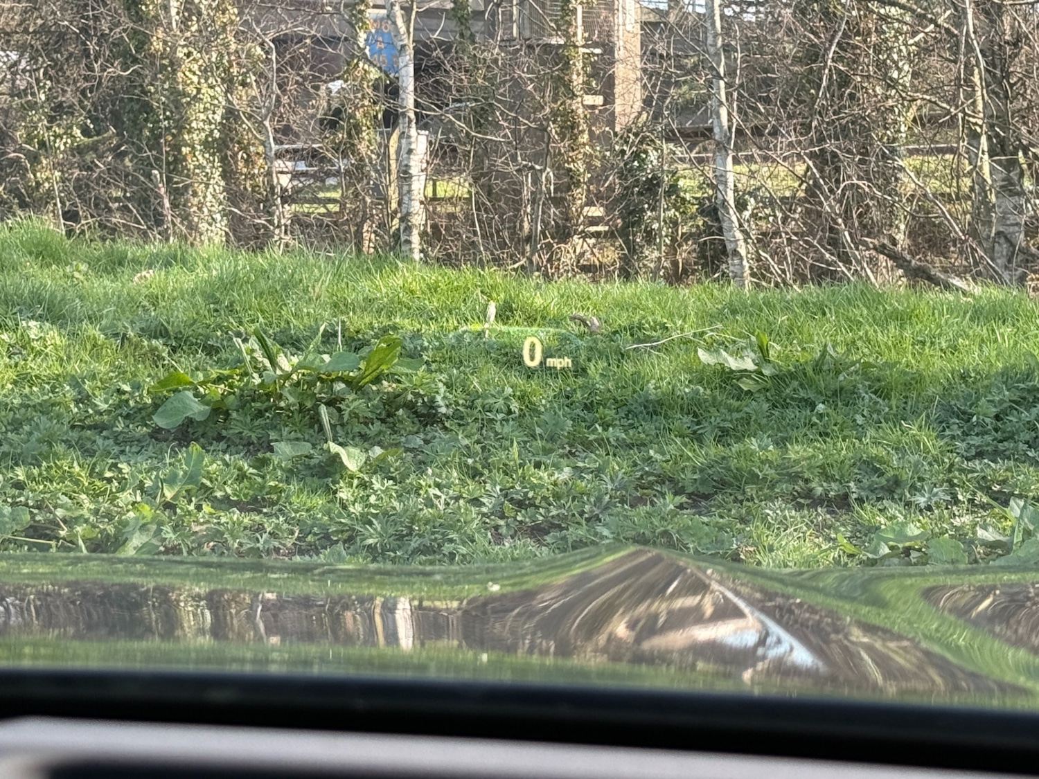 Used BMW X3 2019 for sale - 77946425: Photo 13