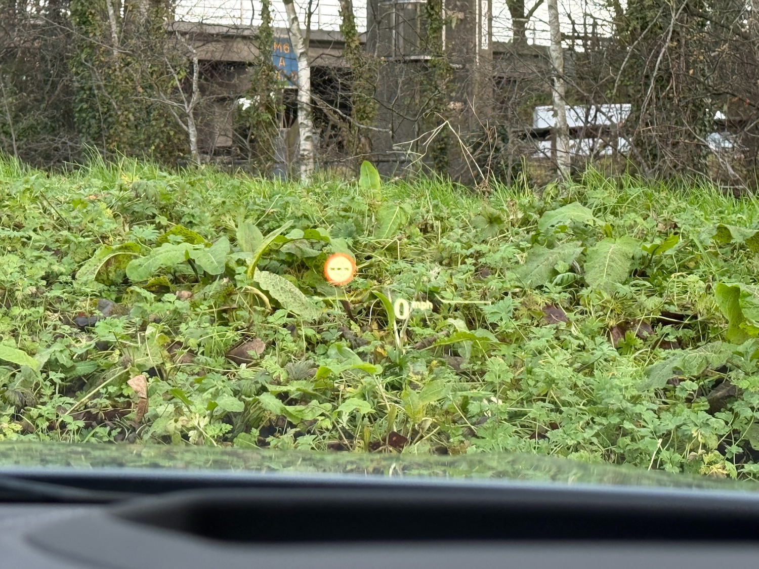 Used BMW 2 Series 2021 for sale - 76831286: Photo 11