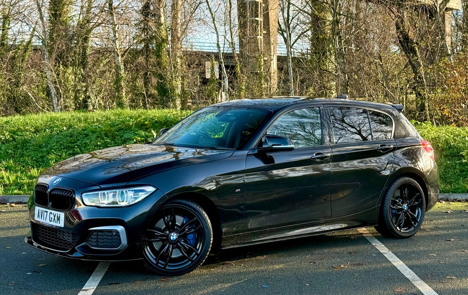 Used BMW 1 Series 2017 for sale - 76566672: Photo 3