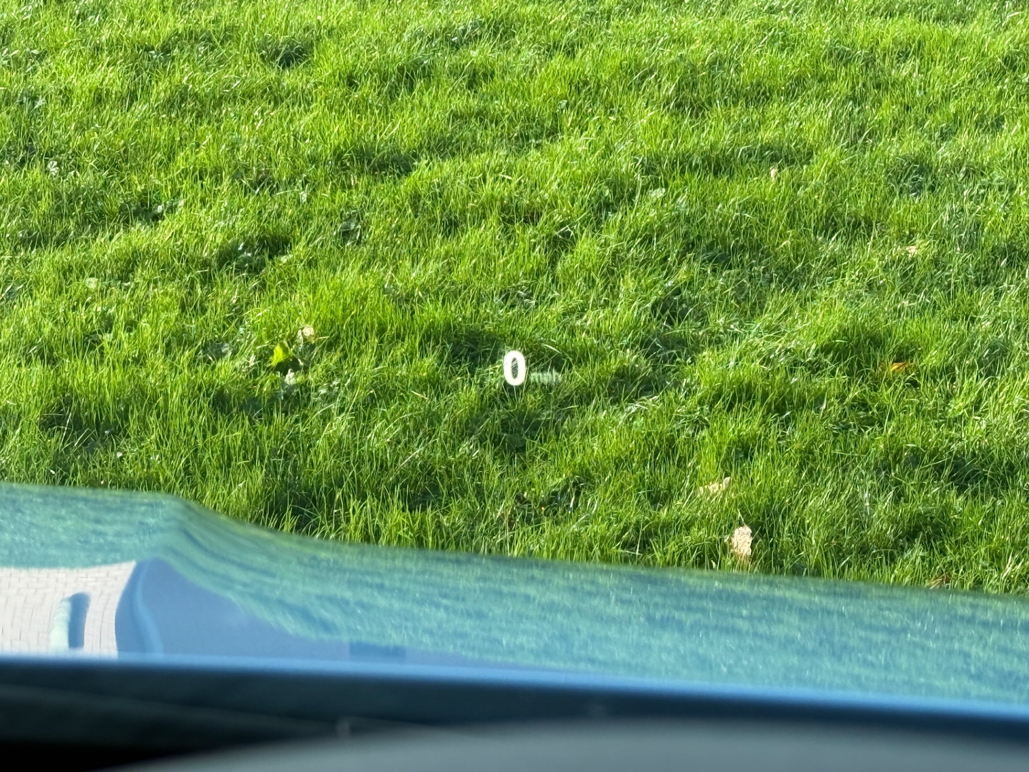 Used BMW M4 2016 for sale - 76422186: Photo 12