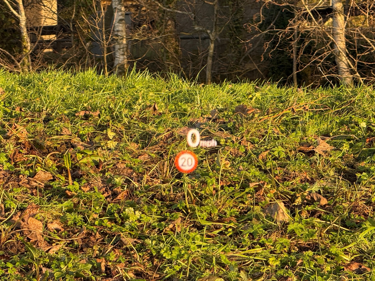 Used Audi RS6 2015 for sale - 77983477: Photo 10