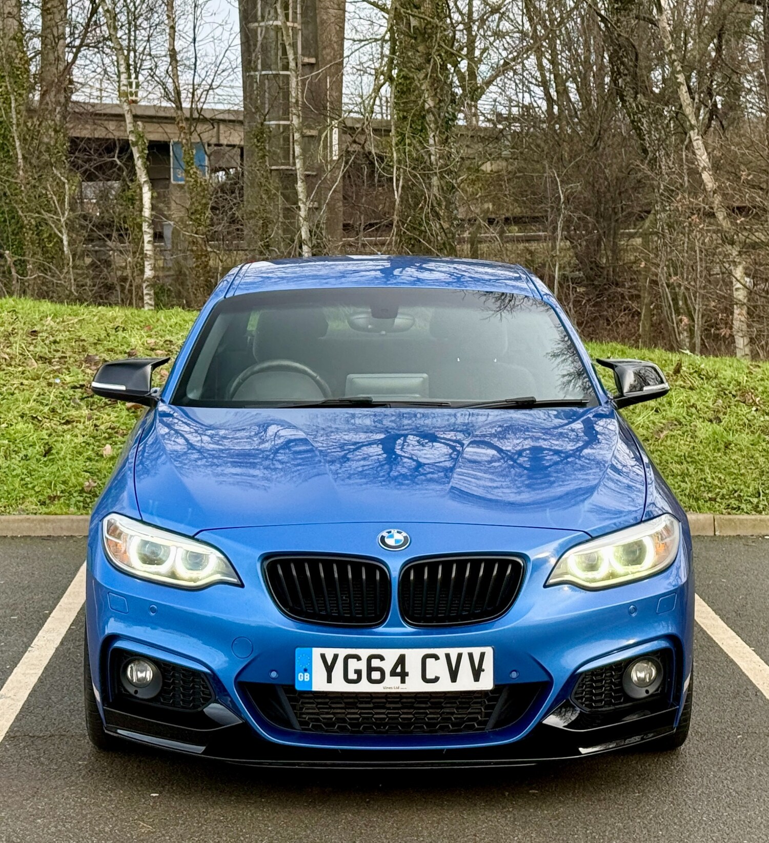 Used BMW 2 Series 2014 for sale - 77210738: Photo 16