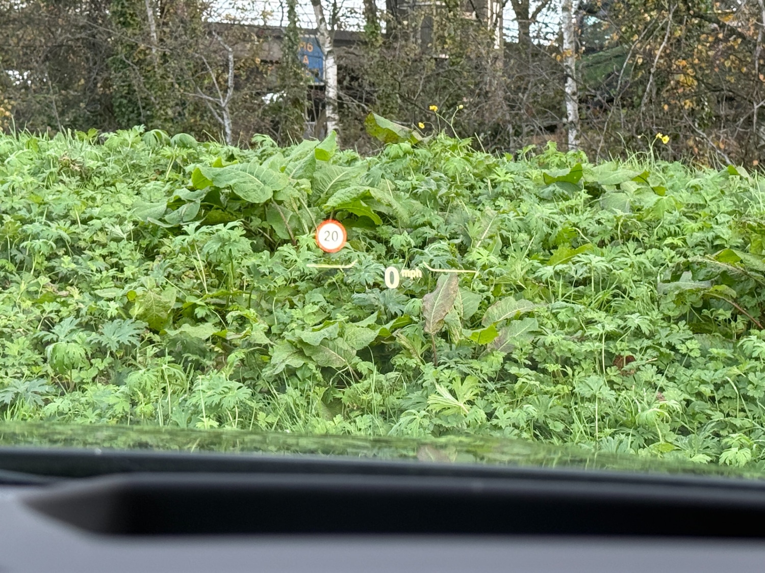 Used BMW 1 Series 2021 for sale - 76403118: Photo 11