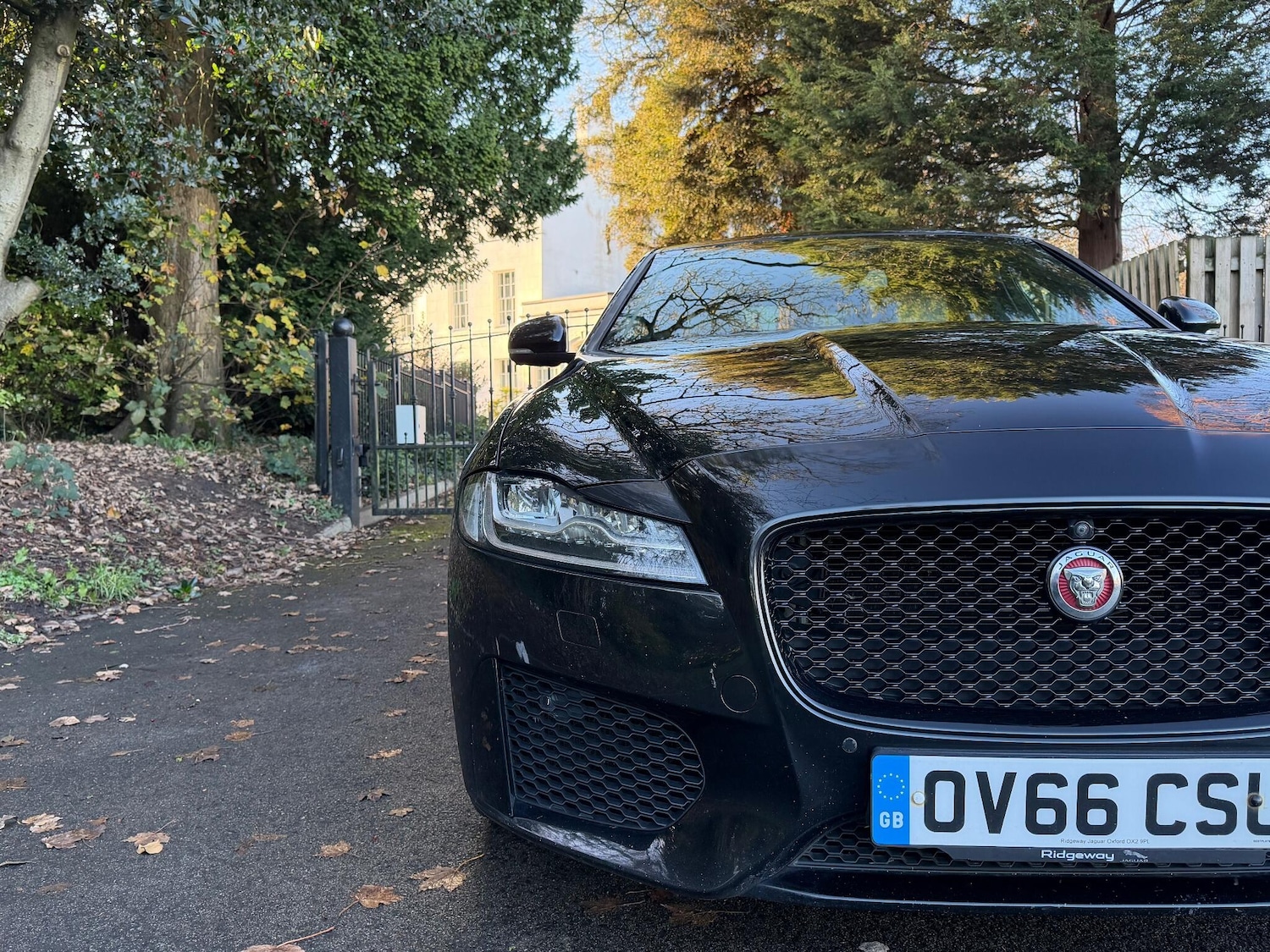 Used Jaguar XF 2016 for sale - 76997124: Photo 7