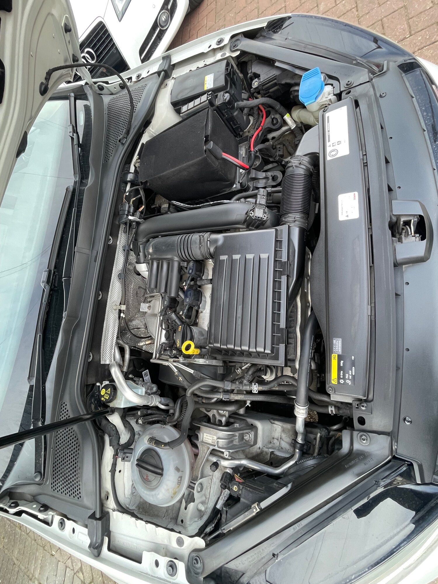 Used Volkswagen Golf 2013 for sale - 77878065: Photo 25