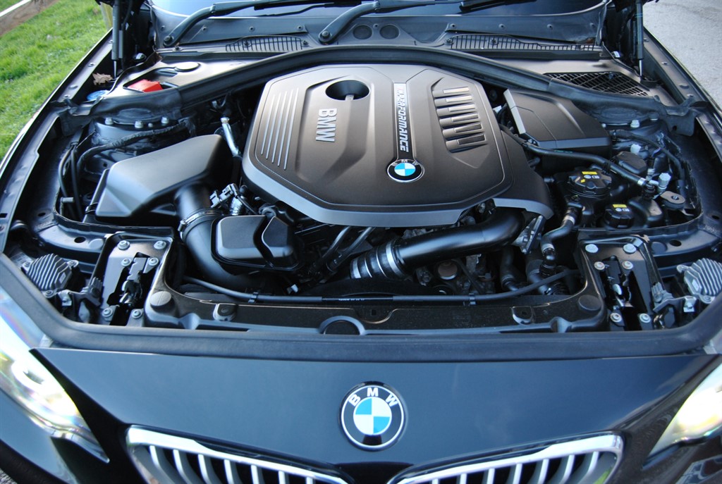 Used BMW 2 Series 2018 for sale - 77918266: Photo 19