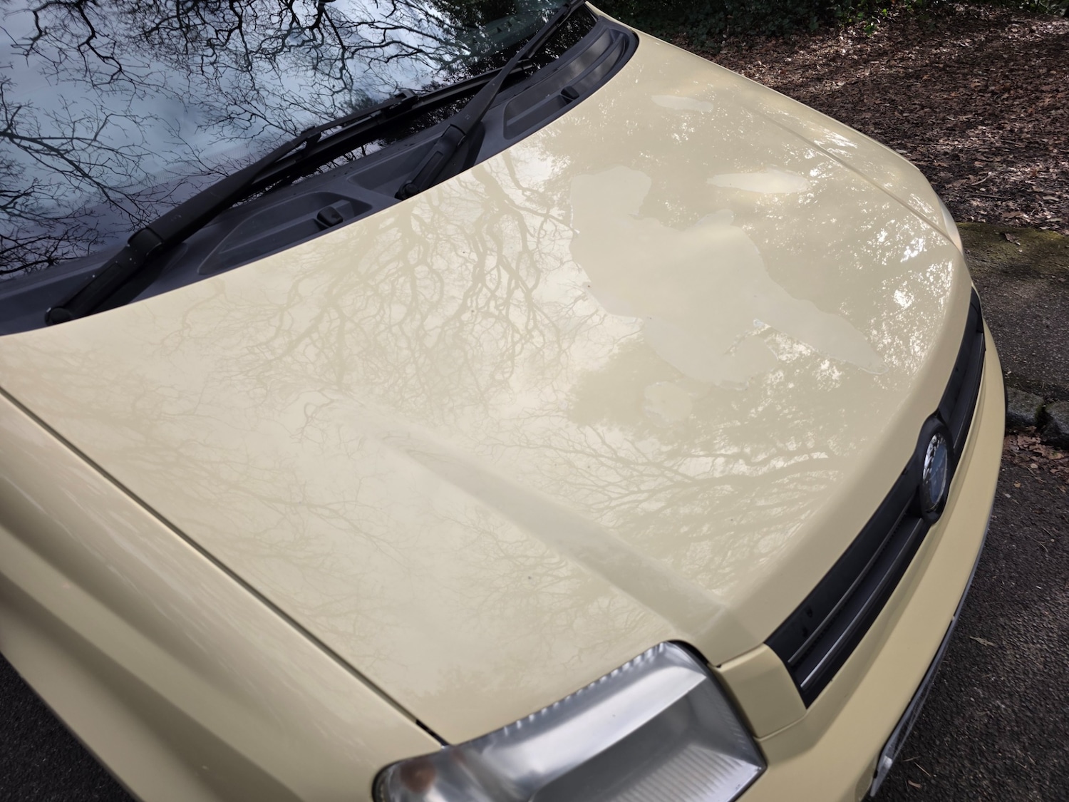 Used Fiat Panda 2007 for sale - 77844534: Photo 43