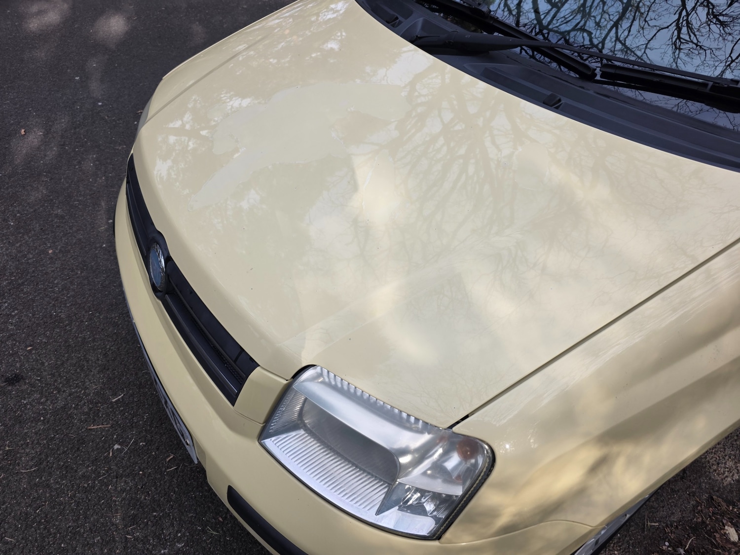 Used Fiat Panda 2007 for sale - 77844534: Photo 44