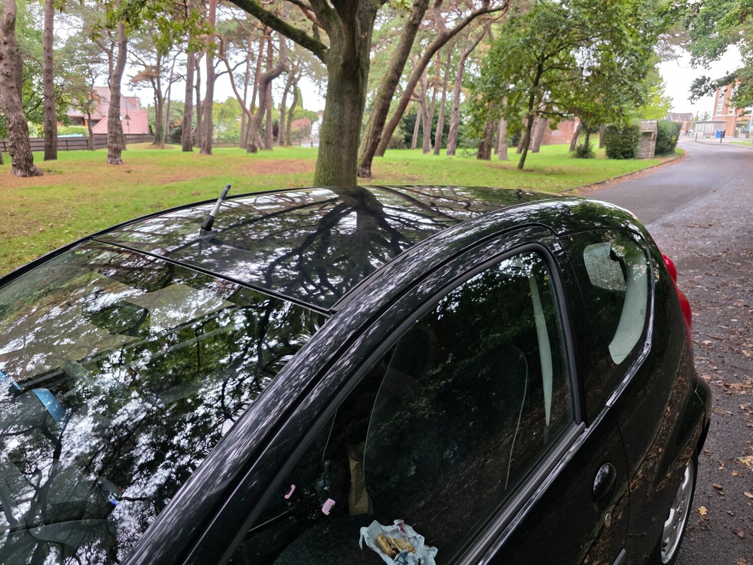 Vehicle 44