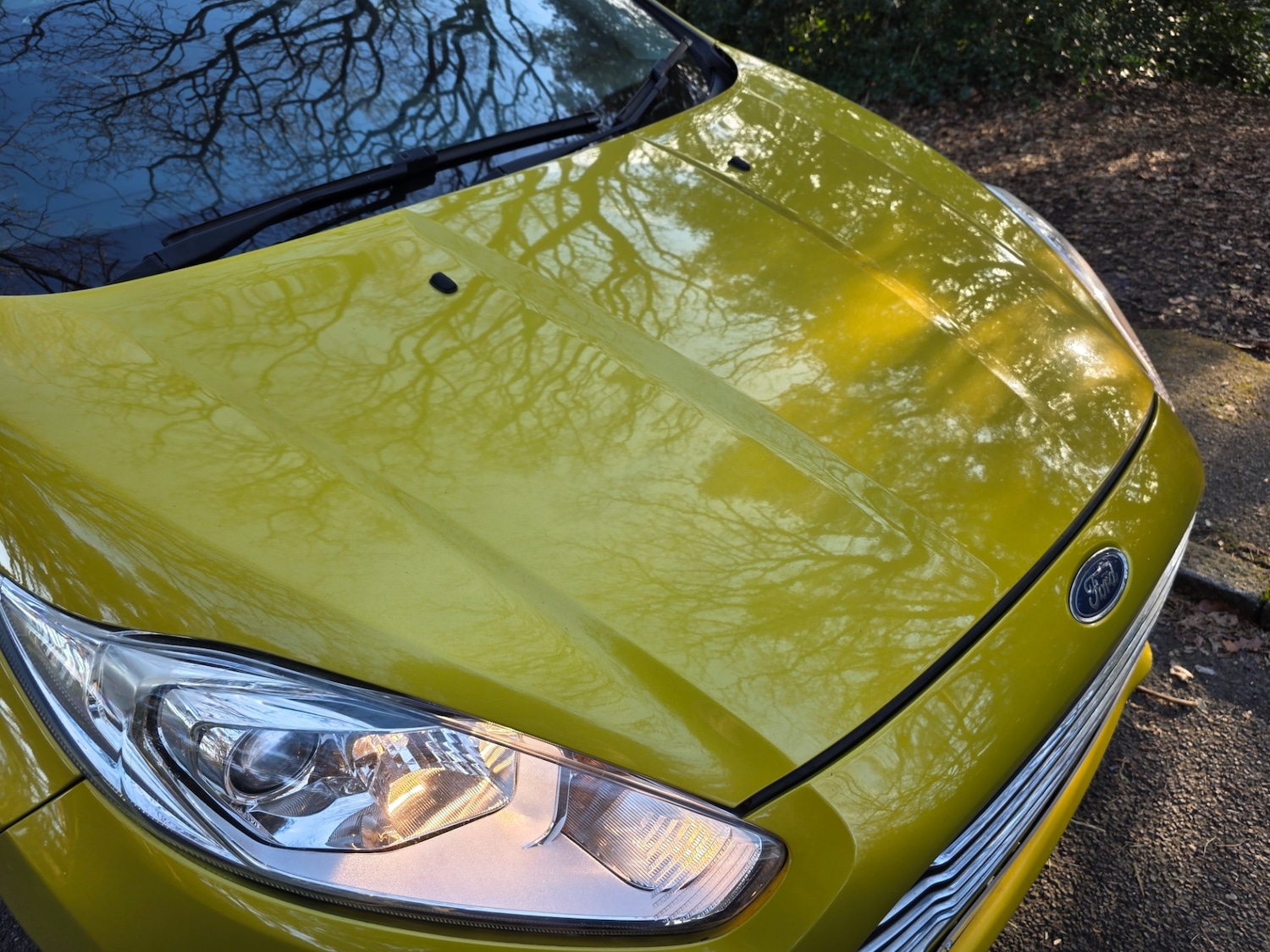 Used Ford Fiesta 2015 for sale - 77762235: Photo 48