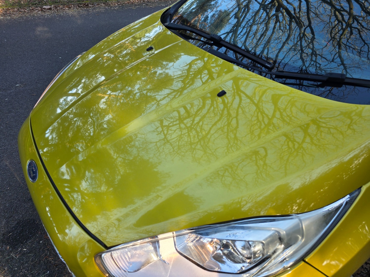 Used Ford Fiesta 2015 for sale - 77762235: Photo 49