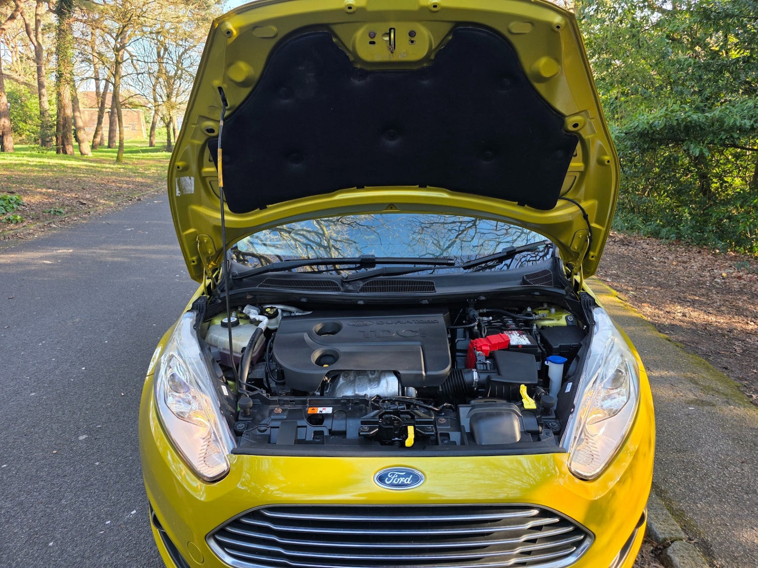 Used Ford Fiesta 2015 for sale - 77762235: Photo 56