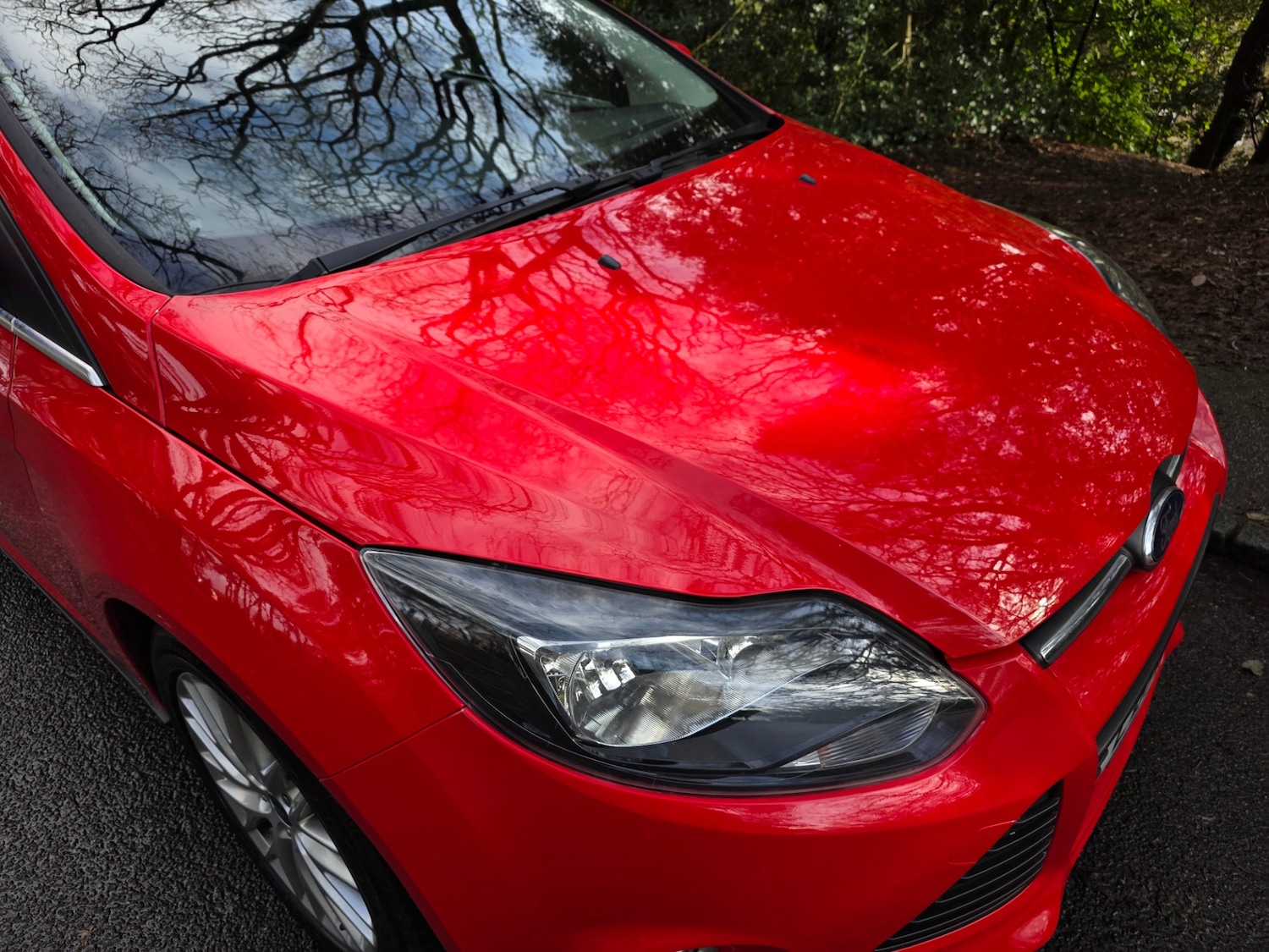 Used Ford Focus 2014 for sale - 77517585: Photo 49