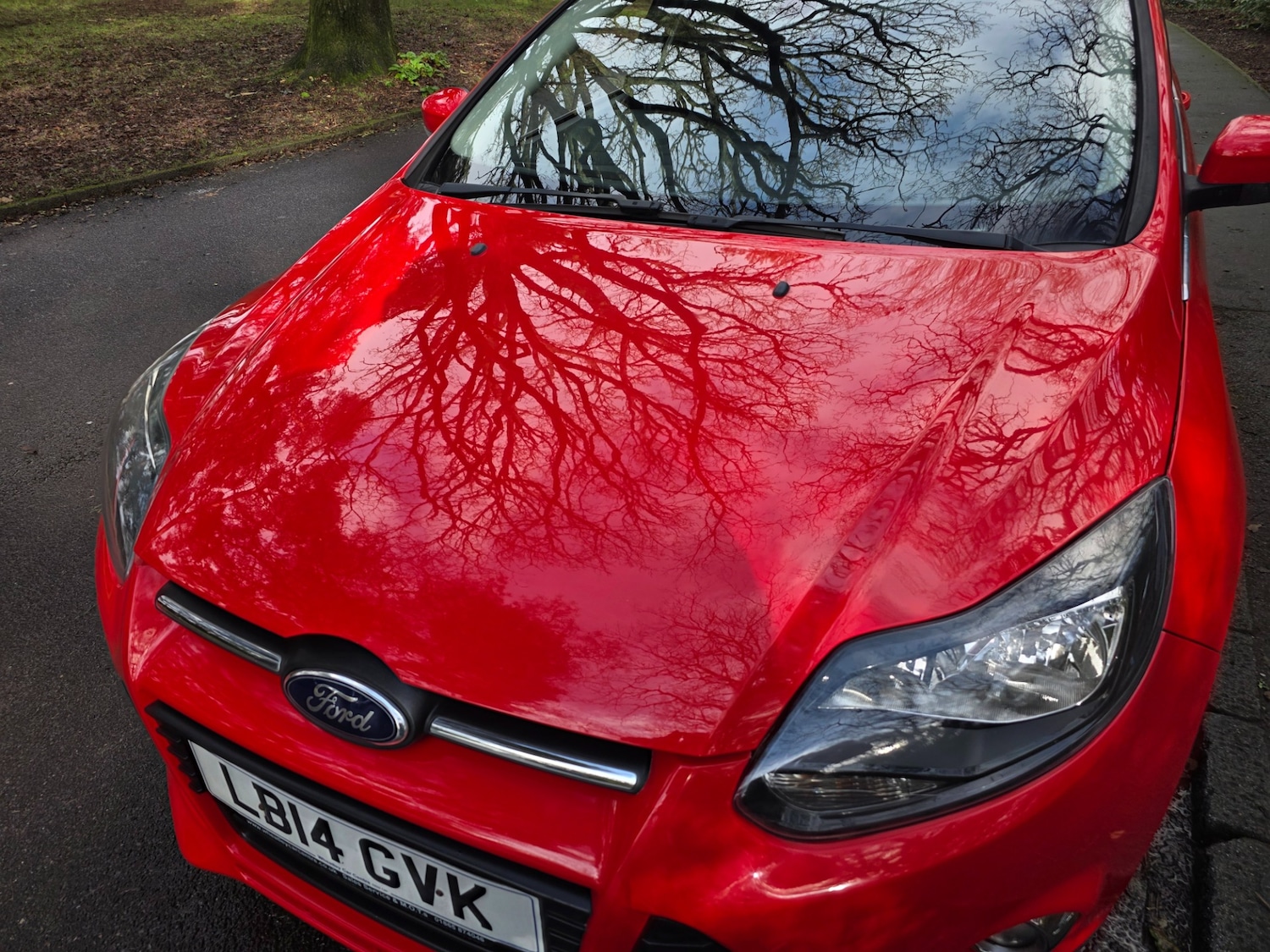 Used Ford Focus 2014 for sale - 77517585: Photo 50