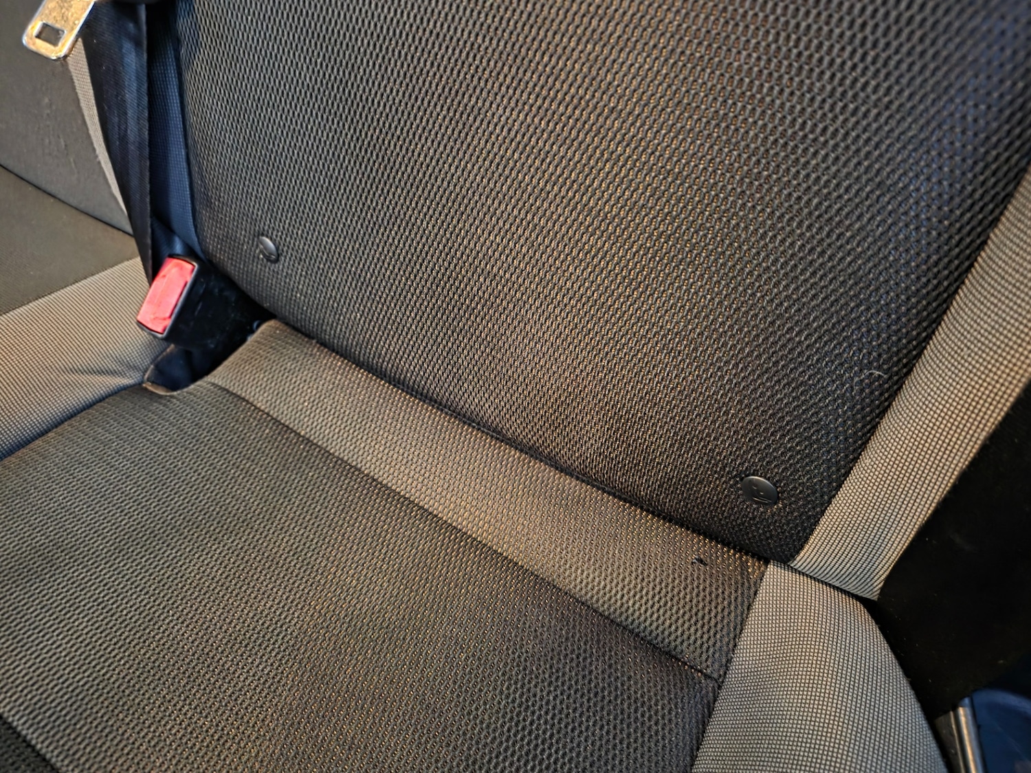 Used Ford Focus 2014 for sale - 77094352: Photo 32