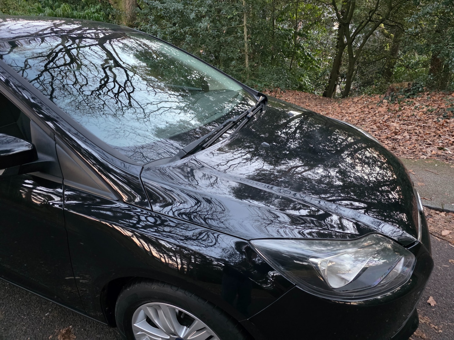 Used Ford Focus 2014 for sale - 77094352: Photo 44